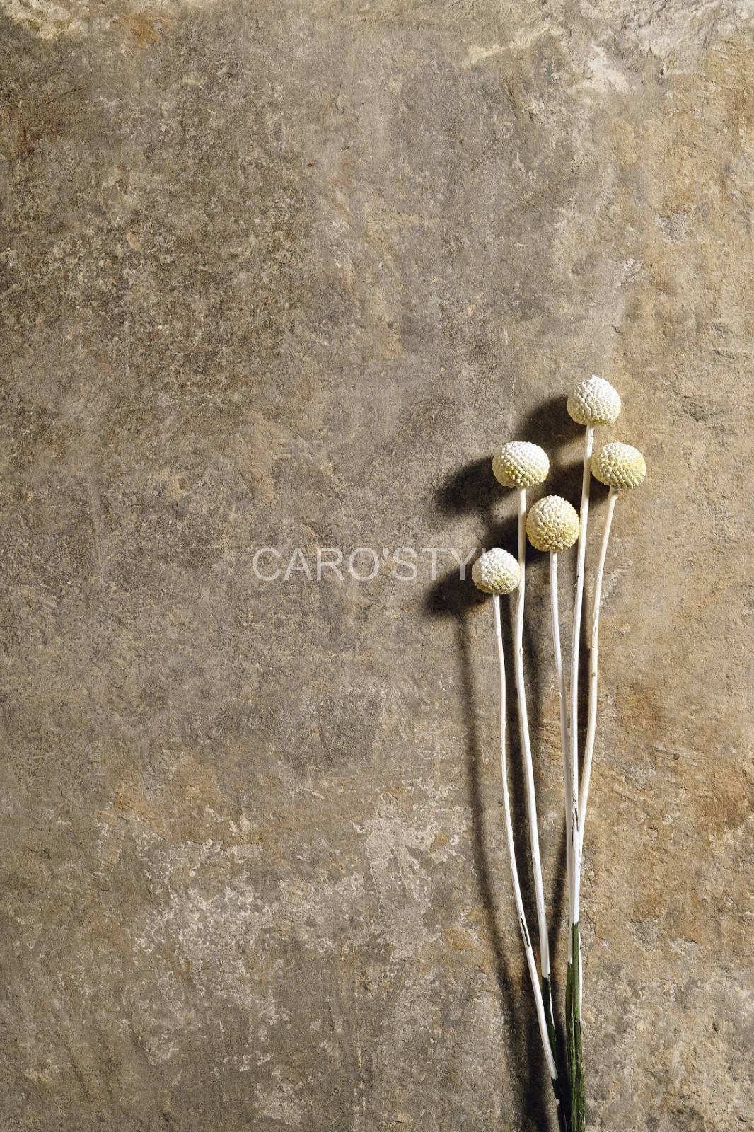 COEM Occitanie carrelage aspect pierre