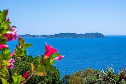 Belly's Immo à Carqueiranne