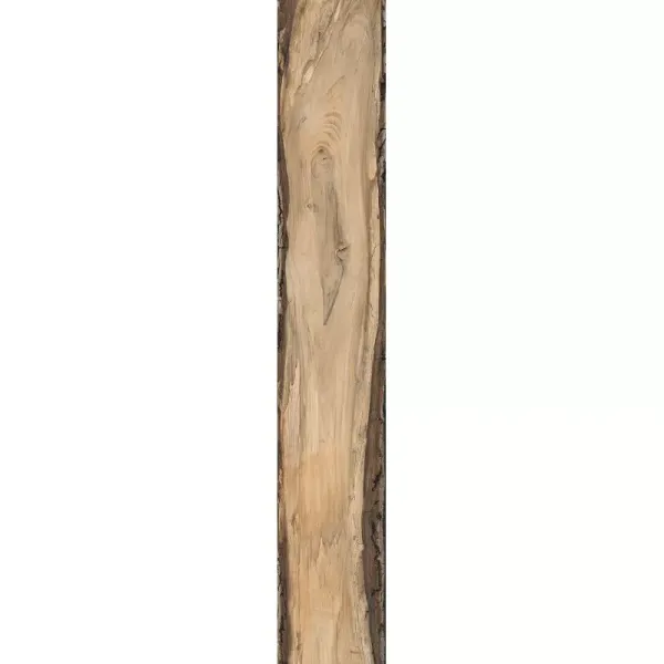 photo de détail carrelage effet parquet broceliande oak à toulon 