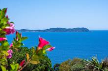 Belly's Immo à Carqueiranne